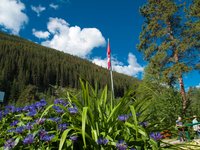 Bloemen en de Canadese vlag